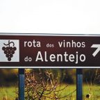 Terra do Sol: Discovering the Quiet Power of Alentejo’s Vineyards