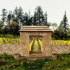 From Vineyard to Myth – The Extraordinary Story of Abreu Estate