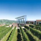 Power Without Noise: The Wines of Bricco Rocche